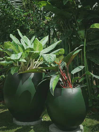A closer look at our dark green planters, this time with a unique camouflage-style pattern. This subtle design detail adds an extra layer of visual interest to your plant arrangement.