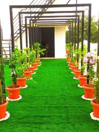 A rooftop terrace designed for relaxation. We installed a lush lawn and lined the entrance with potted plants under a modern pergola, creating an inviting and structured garden path.