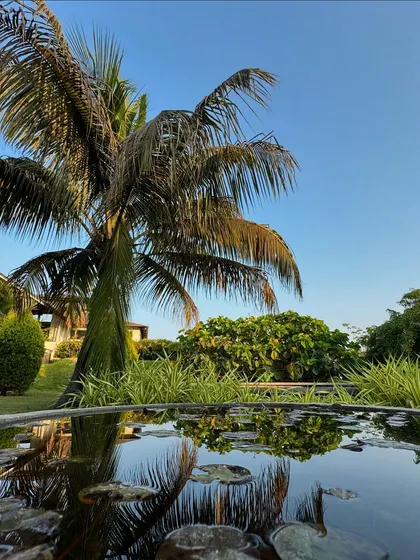 A palm tree is perfectly reflected in the still water of a decorative pond. This image is a study in symmetry and stillness, mirroring the inner balance we help our guests achieve.