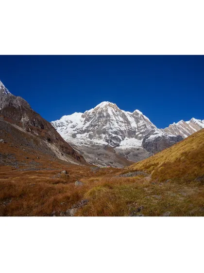 The vast, barren landscape of the upper Annapurna valley, with its golden-brown grasses contrasting against the snow-covered peaks under a clear blue sky.