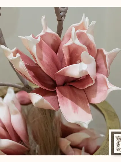 A stunning, fully bloomed pink magnolia, showcasing its delicate, layered petals. This is a centerpiece flower that commands attention in any arrangement.