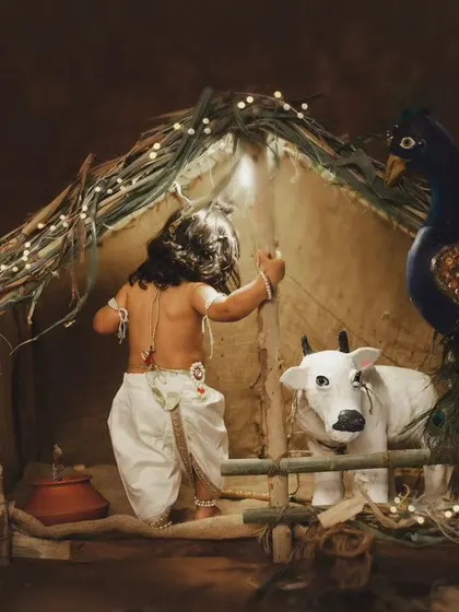 A playful shot from behind, showing little Krishna interacting with the cow prop in our Janmashtami setup.