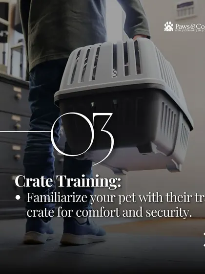 Crate training is essential for your pet's comfort and security during travel. We guide you on how to familiarize your pet with their travel crate long before the journey, making it a safe and familiar space for them.
