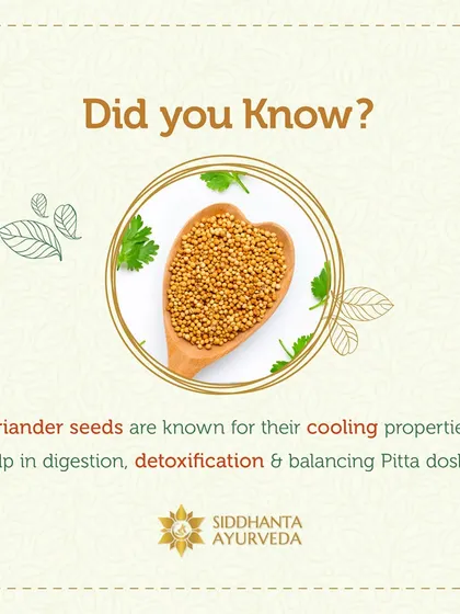 Coriander seeds have cooling properties that are excellent for balancing Pitta dosha. They also aid in digestion and detoxification, making them a valuable part of a balanced diet.
