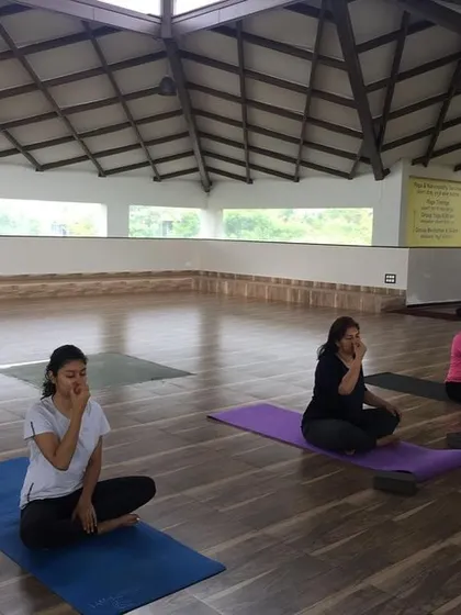 Three guests practice Pranayama in our yoga hall. The spacious, well-ventilated hall provides a serene and comfortable environment for indoor practice, especially for meditation and breathwork.