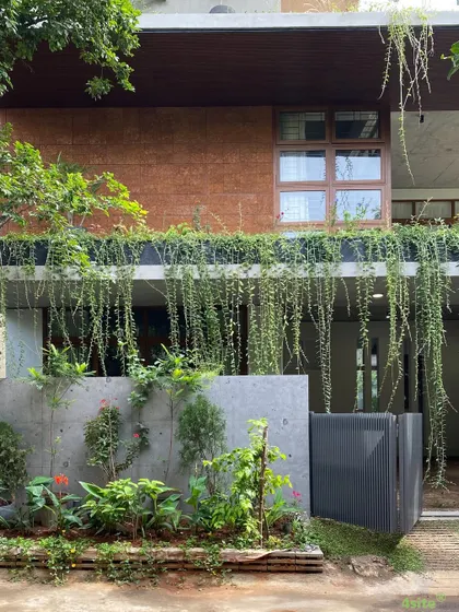 The front facade, where a curtain of green vines hangs from the upper-level planter, softening the concrete structure and integrating the house with its garden.