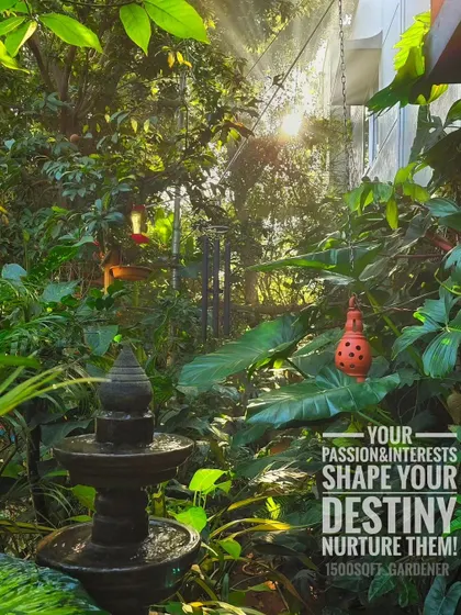 Your passions and interests shape your destiny, so it is important to nurture them. This morning view of our garden is a daily reminder of the joy that comes from pursuing what you love.