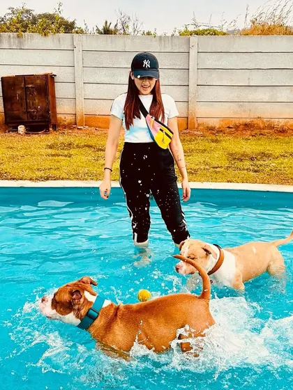 The whole pack is in the pool! A pet parent watches over her two pitbulls as they splash and play together.