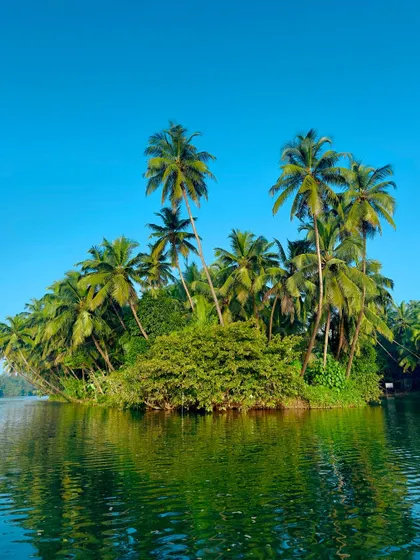 A small island of coconut trees in the middle of the backwaters. The beauty of coastal Karnataka is simply stunning.