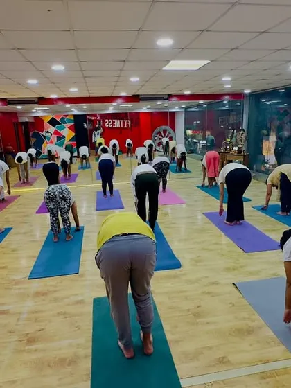A wide shot of the class in a forward fold, showing the collective focus and dedication to their practice.