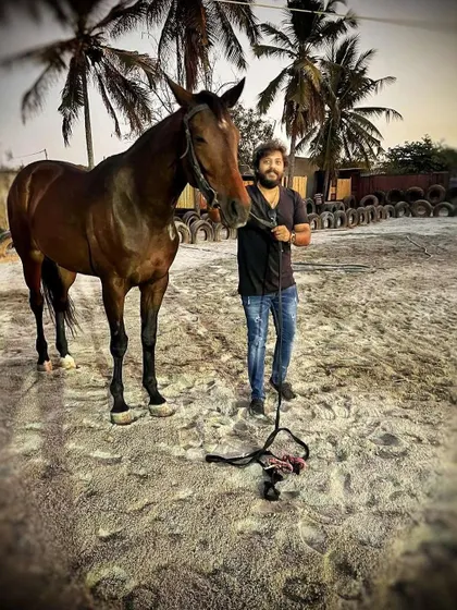 A rider posing with his handsome brown horse in the sand arena, with our signature palm trees in the background.