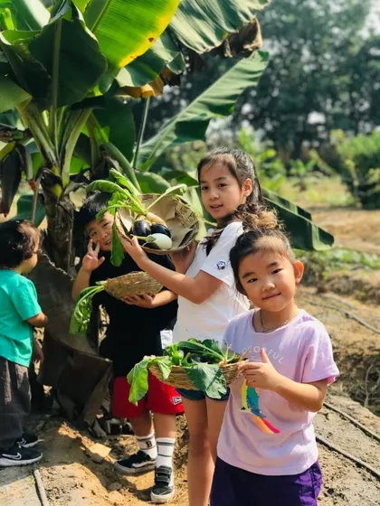 A group of children proudly display their baskets filled with freshly picked brinjals and other vegetables, standing near a banana plant.