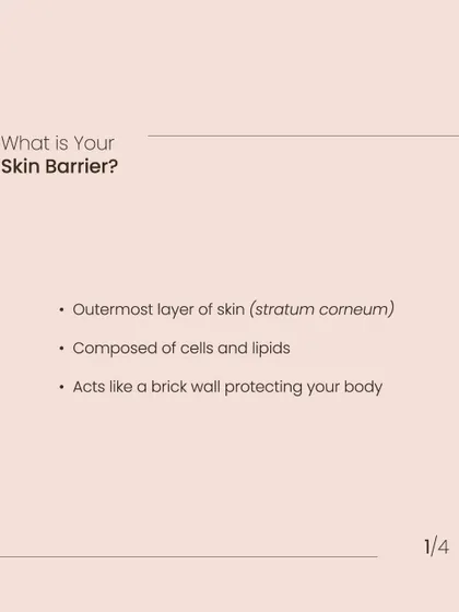 What is your skin barrier? It's the outermost layer of skin, acting like a brick wall to keep moisture in and harmful substances out.