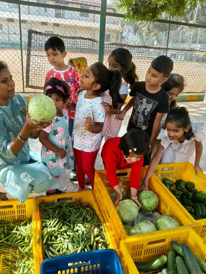 A teacher shows the children a large cabbage at the market. We use these opportunities to introduce new vocabulary and encourage children to observe different shapes, colors, and textures.