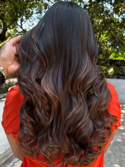 The back view of the highlight refresh.