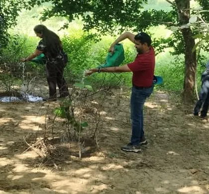 Volunteers from Natwest Group India water the native Aravali saplings they planted last month at Ghata Bundh, connecting with the story of the land's revival.