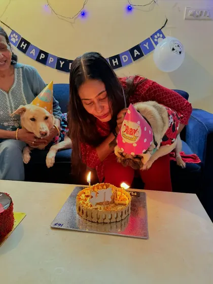 Making a wish for more treats. This photo captures the sweet tradition of blowing out the candles, a moment shared between a loving pet parent and her birthday pug.