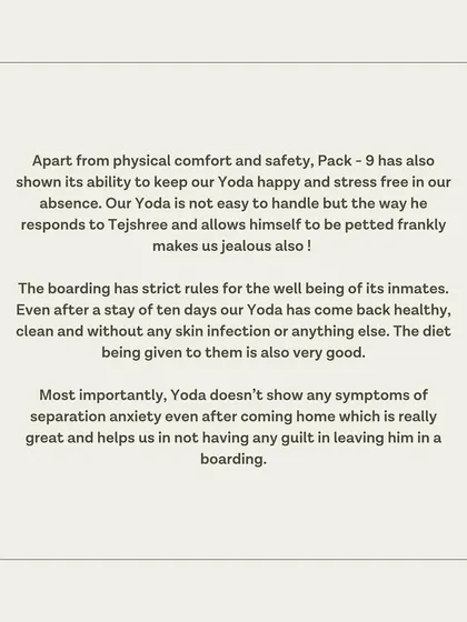 A special testimonial from Yoda's guardians, who appreciate our strict rules for well-being and the stress-free environment.