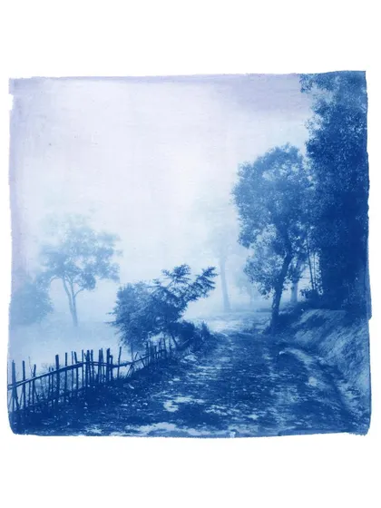 A misty, atmospheric landscape rendered as a cyanotype. We often tweak our chemistry to extend the tonal range of the process, achieving delicate gradients and details.