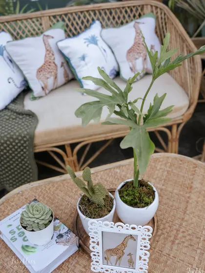 A close-up of a table centerpiece at the safari sundowner, featuring succulents, cacti, and a framed giraffe illustration.