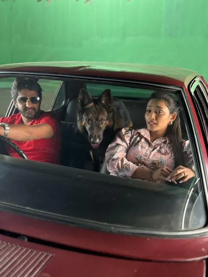 Leo the German Shepherd patiently waiting for his cue during an in-car scene for a movie.