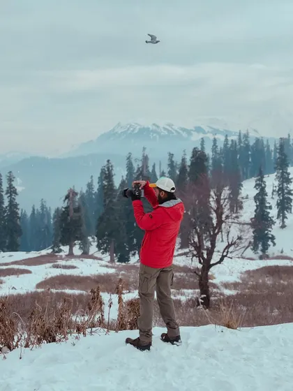 Capturing a bird in flight against the snowy mountains of Gulmarg. This is what it means to be a storyteller in the wild.