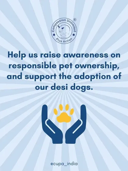 A call to action to help raise awareness about responsible pet ownership and support the adoption of our resilient and loving desi dogs.