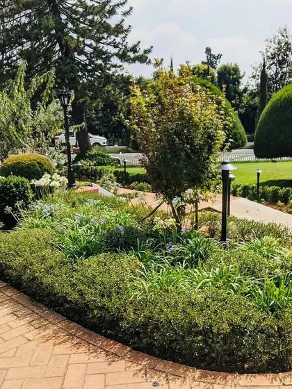 We used classic garden design elements like manicured boxwood hedges and formal topiary to complement the hotel's colonial architecture.