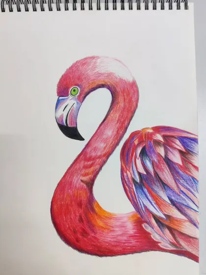 The completed colored pencil drawing of a flamingo, a beautiful example of animal art created in our classes.