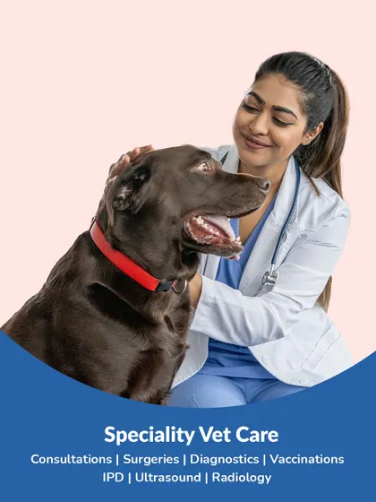 Kem Cho, Amdavad! We are excited to announce our arrival in your city with two new locations, offering special discounts on vet care, grooming, and pet food to celebrate our launch.
