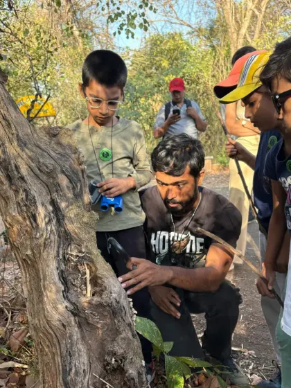 A naturalist guide points out something interesting on a tree trunk to a group of captivated children. Our expert-led walks are full of fascinating facts and stories about the forest.