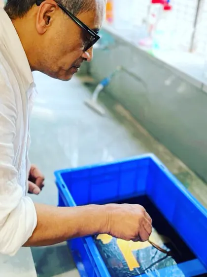 Inspecting an etched plate during the acid bath. This hands-on engagement with materials is crucial for understanding their properties and potential, a knowledge that translates directly into my architectural work.