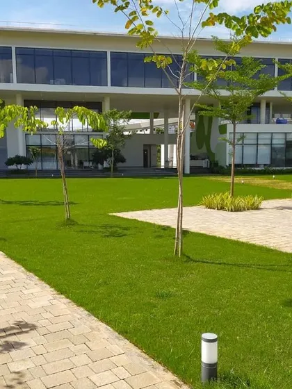 A duplicate image of the central green plaza at DRL Leadership Academy.