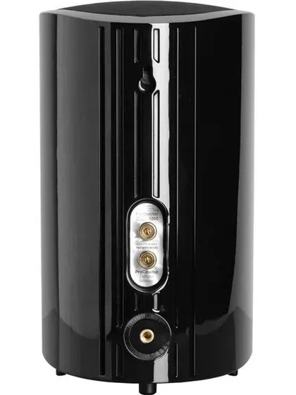 This rear view of the Definitive Technology ProMonitor 1000 highlights the secure speaker wire inputs and the built-in keyhole mount for easy wall installation.