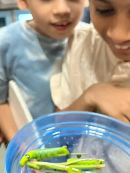 A collection of moments from our various hands-on science activities, showing children deeply engaged in learning through doing.