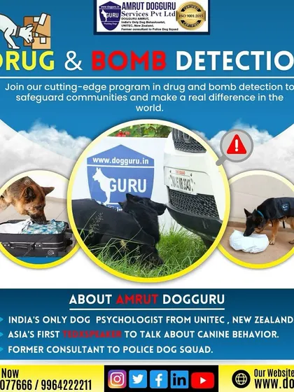 This graphic details our drug and bomb detection program, where we train dogs to use their keen sense of smell to safeguard communities.