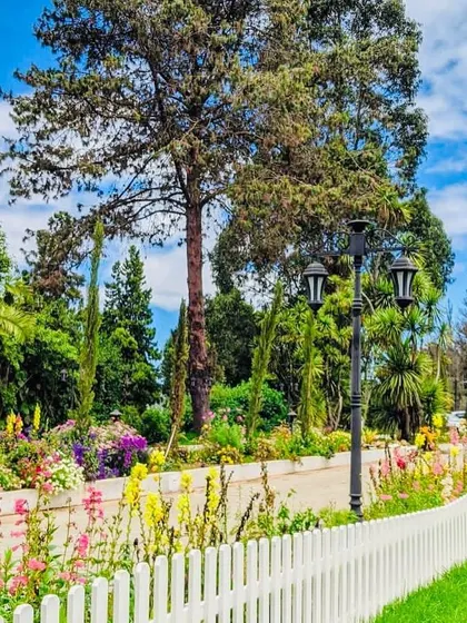The white picket fence adds to the charming, heritage feel of the property.