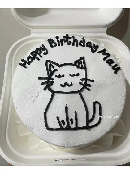 A cute and simple cat drawing on a birthday bento cake.