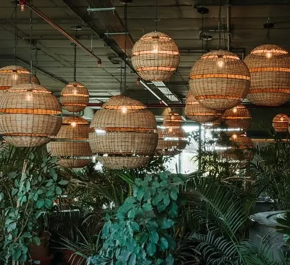 A canopy of rattan pendant lights hangs above a sea of indoor plants. This feature creates a warm, organic texture that contrasts with the exposed ceiling, enhancing the urban jungle theme.