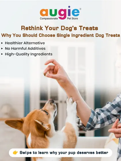 It's time to rethink your dog's treats. Many popular treats contain unwanted chemicals and fillers. I always recommend choosing single-ingredient treats for a pure, healthy, and natural reward.