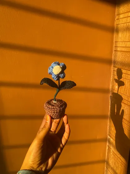 The golden hour glow on this blue flower pot is just magical. The way the light hits the crochet work really shows the texture and detail I put into every stitch.