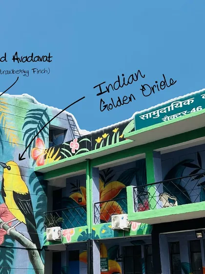 This image points out the 'Red Avadavat' and 'Indian Golden Oriole' birds in the mural. The goal was to represent different Indian bird species found across the country.
