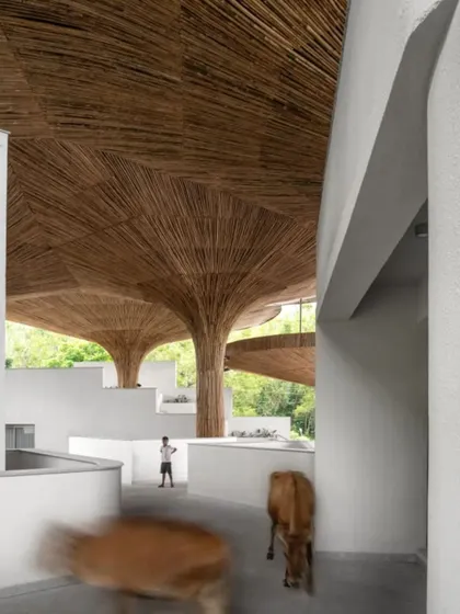 Movement is fluid and unscripted at the TAPMI Centre, where people and animals can wander through the open ground floor. This reflects our goal to create truly porous and democratic public spaces.