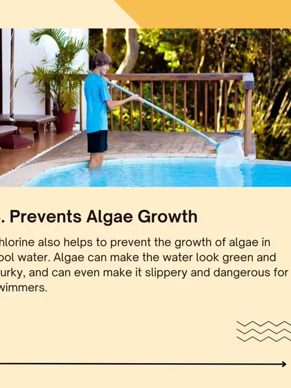 Another benefit of chlorine: it prevents algae growth, which can make a pool slippery and dangerous.