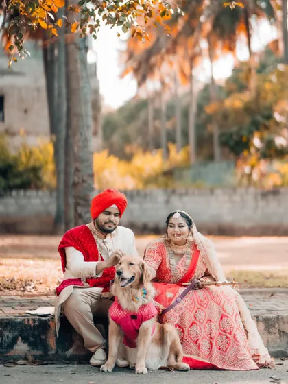A heartwarming portrait of a Sikh couple with their furry friend, who is also dressed up for the occasion.