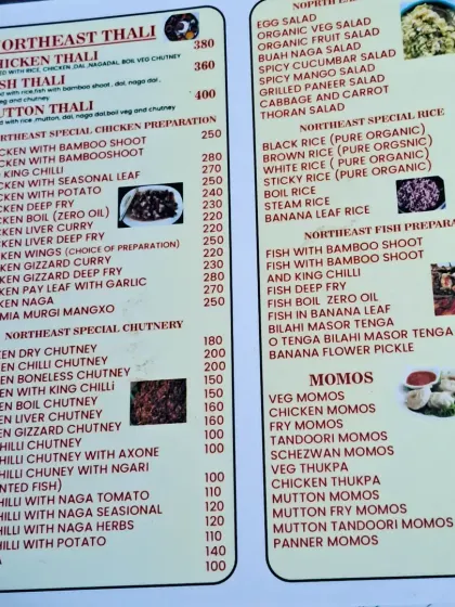 An overview of our extensive menu. This page lists our thalis, special chicken preparations, chutneys, rice, fish, and momos all in one place.