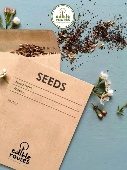 A simple and elegant invitation to our free seed planting and microgreens workshop on Earth Day.