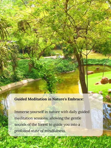 Immerse yourself in nature with daily guided meditation sessions, allowing the gentle sounds of the forest to guide you into a profound state of mindfulness.