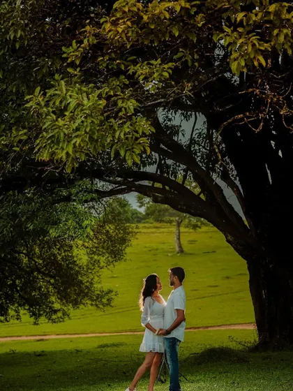 A beautiful portrait of a couple under a large tree in a green pasture. The natural framing and soft light create a timeless and romantic pre-wedding photograph.