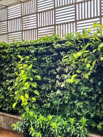 When floor space is limited, we go vertical. This is one of our vertical garden installations, creating a dense, living wall of green that adds life and fresh air to an urban environment without sacrificing valuable area.